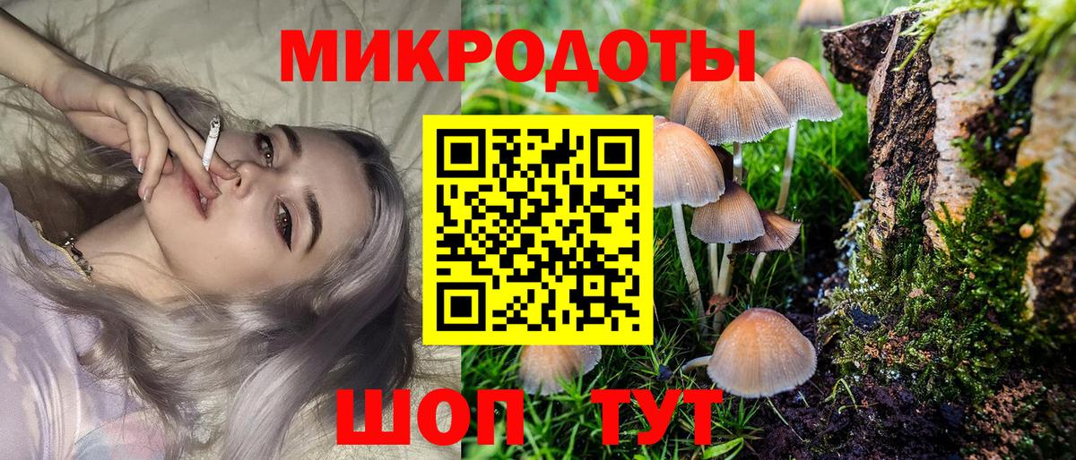 Галлюциногенные грибы прущие грибы Шали
