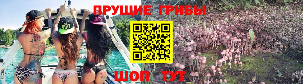 Галлюциногенные грибы ЛСД  наркота  Псилоцибиновые грибы прущие грибы  Шали  Вход с VPN 
